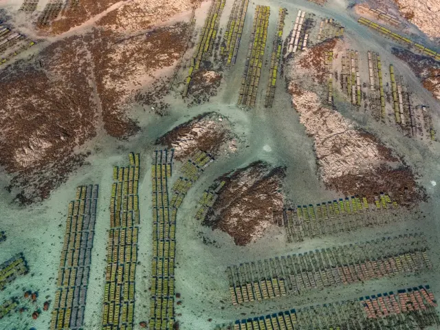 Voiliers amarrés dans un port de plaisance au crépuscule