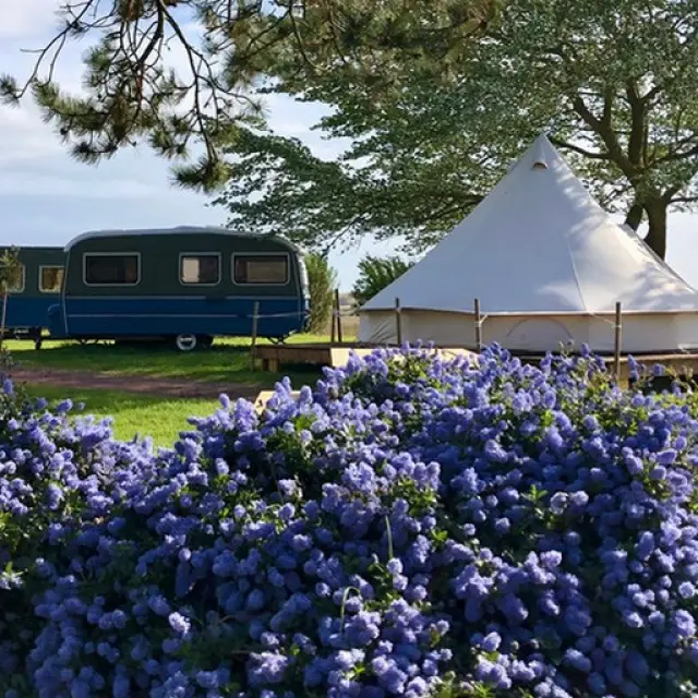 Tente de Glamping et caravanes vintage au camping du havre de Regnéville