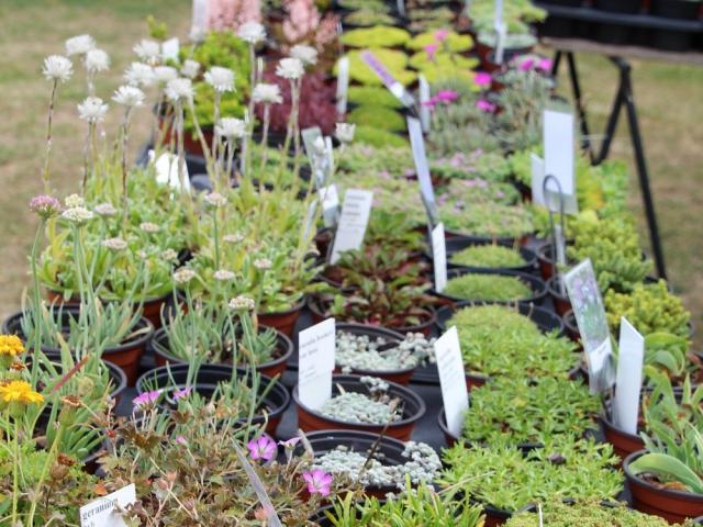 A propos de jardin chateau de Gratot