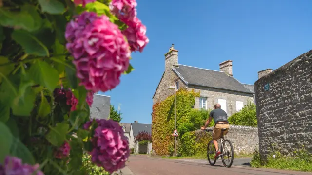 Un cycliste pédale sur une route de village entourée de fleurs roses et de maisons en pierre à Regnéville sur Mer