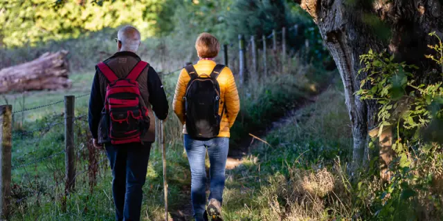 Zwei Kinder und ein Erwachsener gehen in einem Wald, eines der Kinder trägt einen roten Rucksack