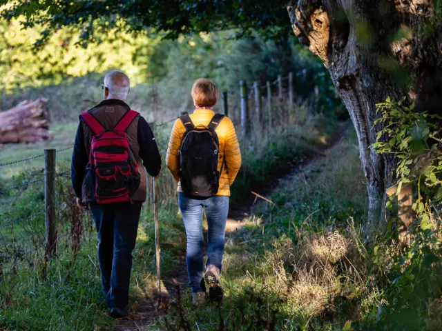 Two people walking in a forest with backpacks