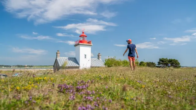 Personne marchant dans un champ de fleurs près du phare de Agon Coutainville
