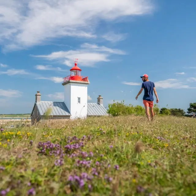 Personne marchant dans un champ de fleurs près du phare de Agon Coutainville