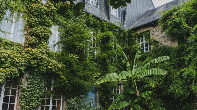 Maison à colombages entourée d’un jardin verdoyant avec des plantes et des fleurs