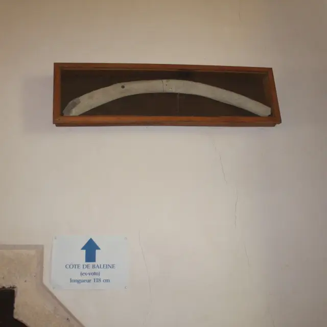Une côte de baleine ancienne exposée dans un cadre en bois dans la cathédrale de La Baleine