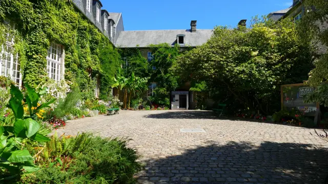 Allée bordée d’arbres menant à des maisons résidentielles éclairées au crépuscule