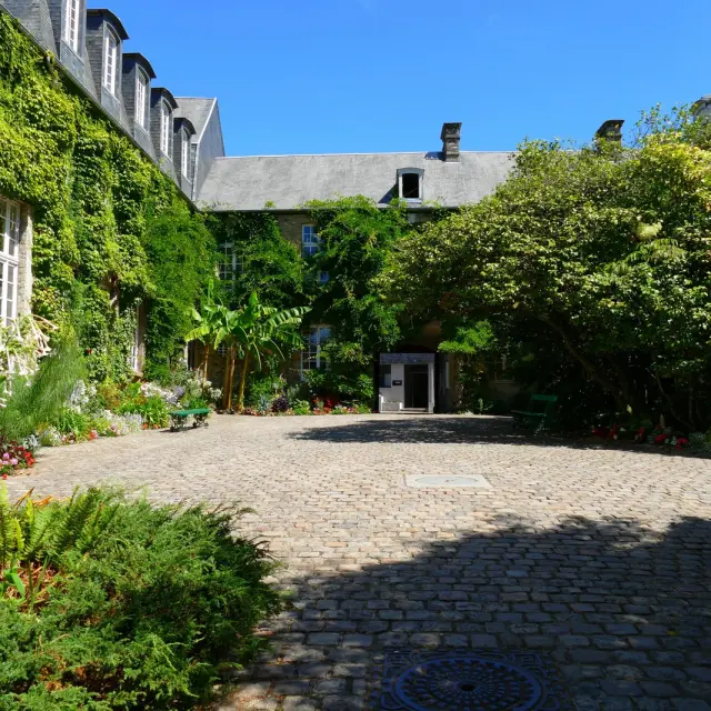 Allée bordée d’arbres menant à des maisons résidentielles éclairées au crépuscule