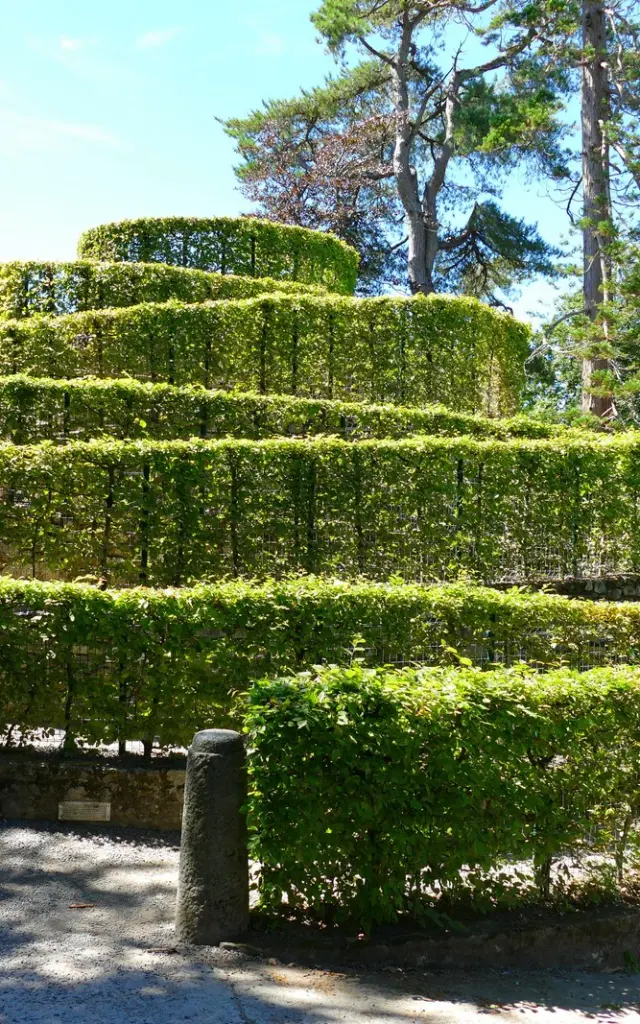 Labyrinthe végétal du jardin des plantes de Coutances
