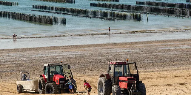 Deux bus de plage orange et blanc stationnés sur une plage avec des voiliers amarrés en arrière-plan
