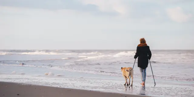 Une personne marche avec un chien sur une plage