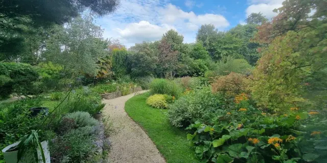 Kurvenreicher Weg in einem üppigen Garten mit Pflanzen und Bäumen