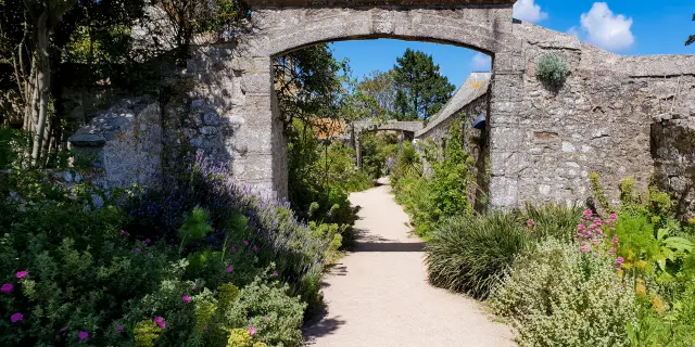 Path lined with flowers leading to a wooden jetty under a blue sky