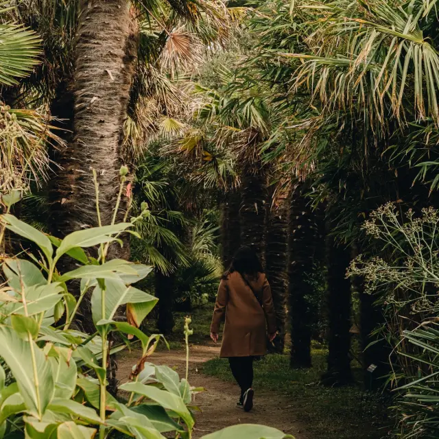 Woman walking down a path lined with palm trees and tropical plants