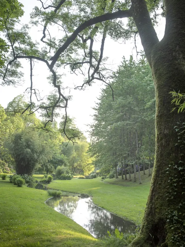 Ein gewundener Bach durchquert eine grüne Wiese in einem bewaldeten Park
