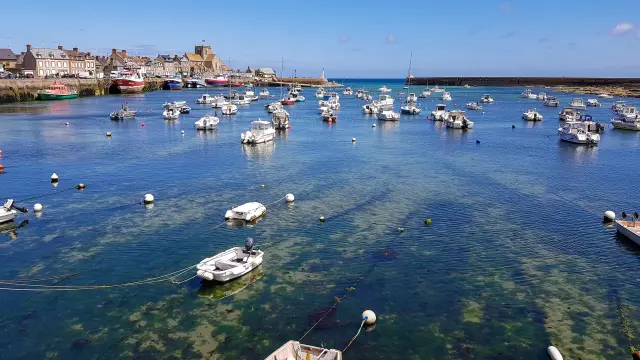 Fishing boats moored in a harbor with buildings in the background