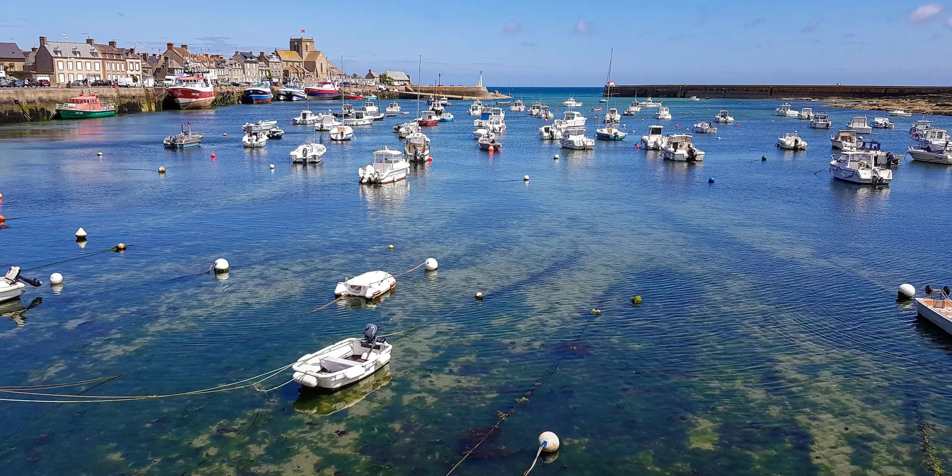 Sailboats and leisure boats moored in a harbor with buildings in the background