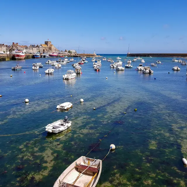 Fishing boats moored in a harbor with buildings in the background