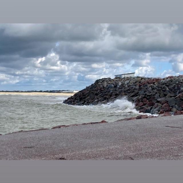 Instagram #blainvillesurmer