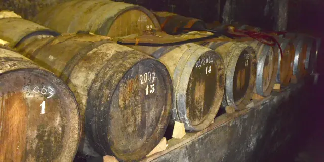 Eichenfässer in einem dunklen Weinkeller