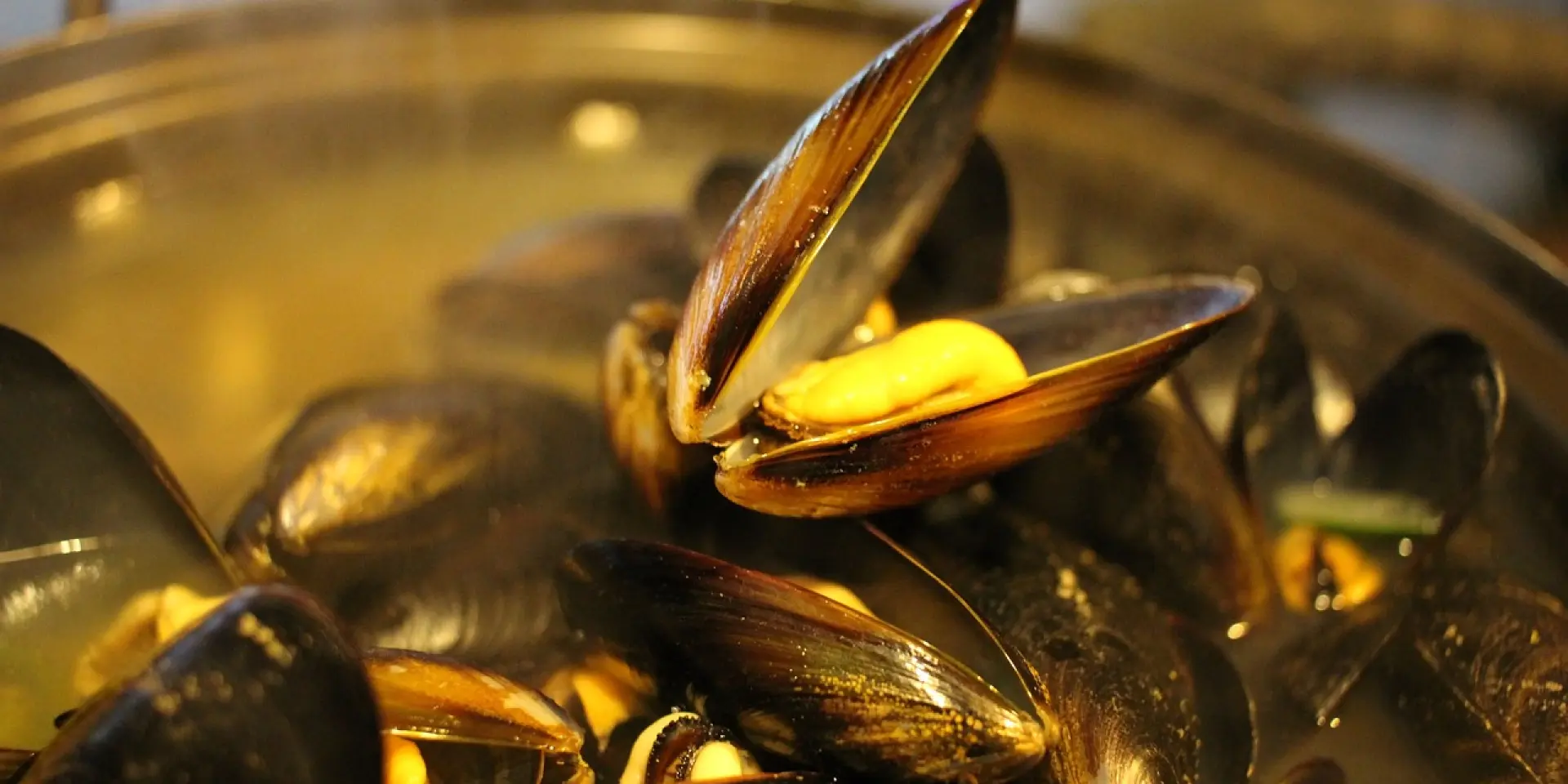 Moules cuites dans un grand plat en métal