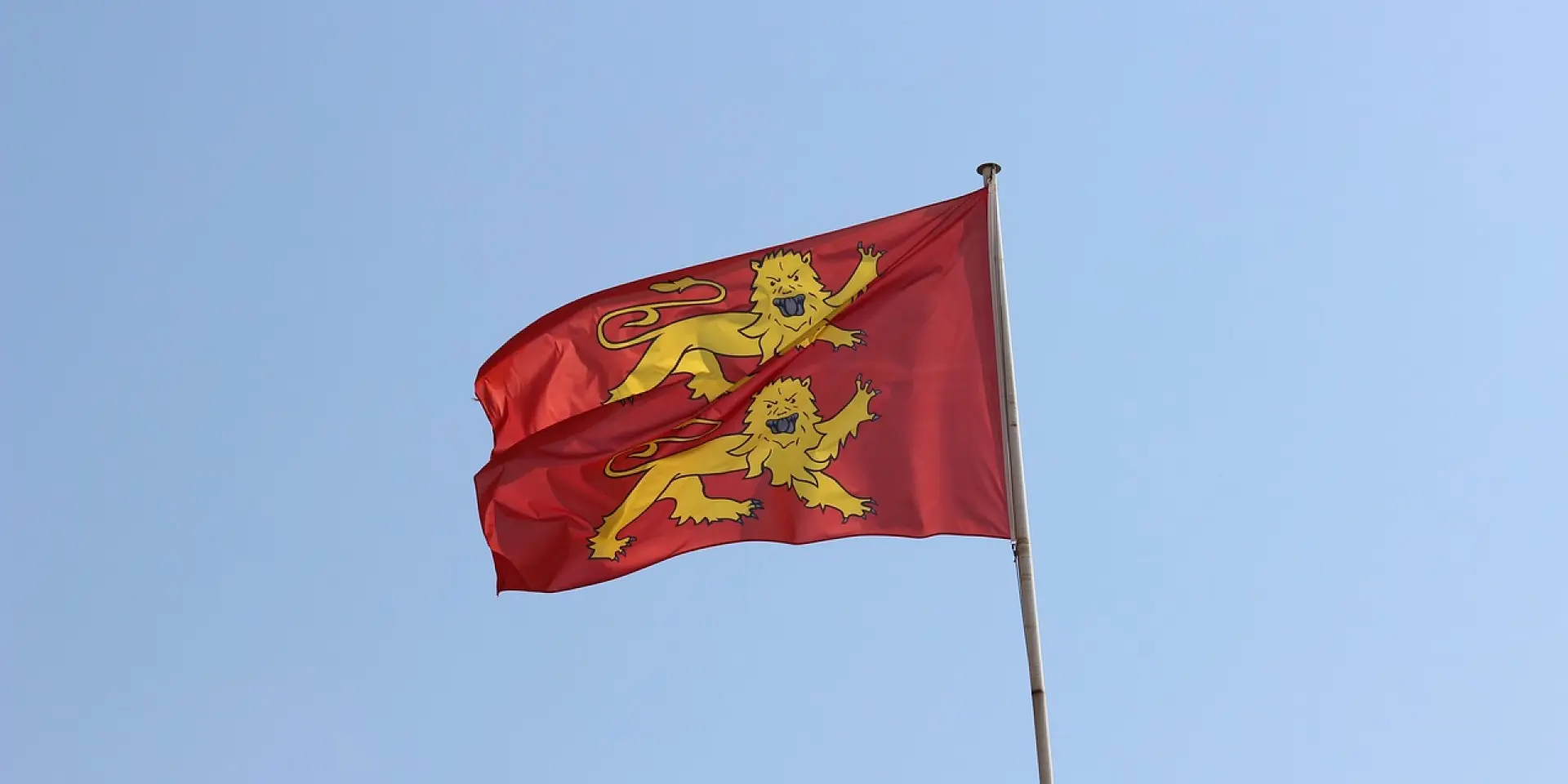 Drapeau rouge avec trois lions dorés et une couronne
