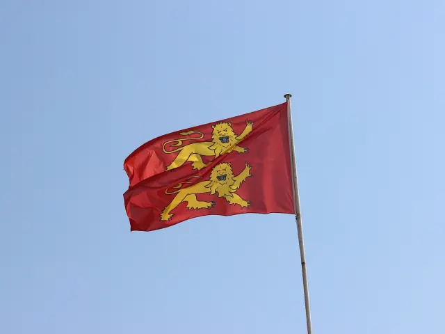 Drapeau rouge avec deux lions dorés et une couronne
