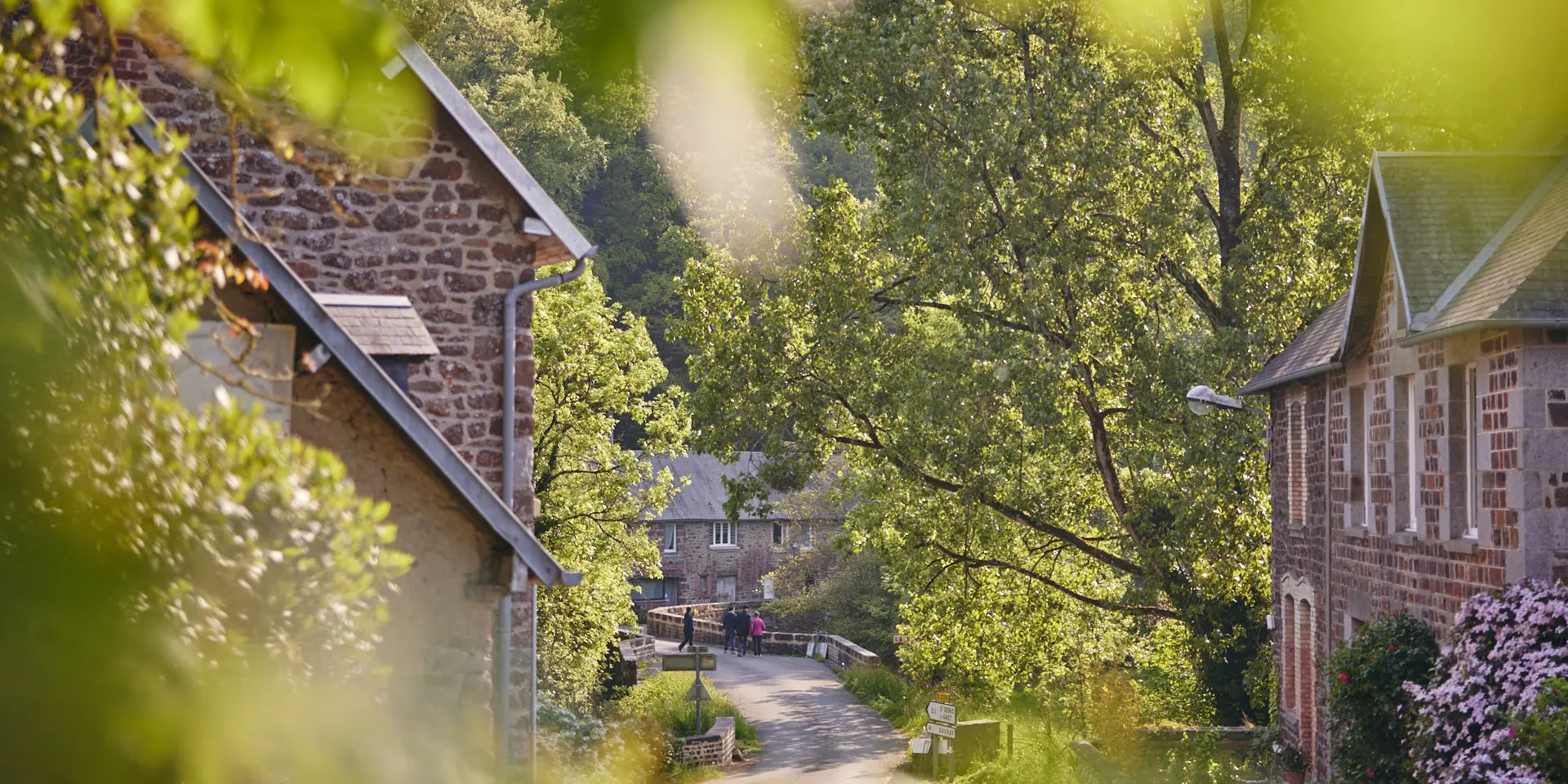 Rue du bourg de La Baleine