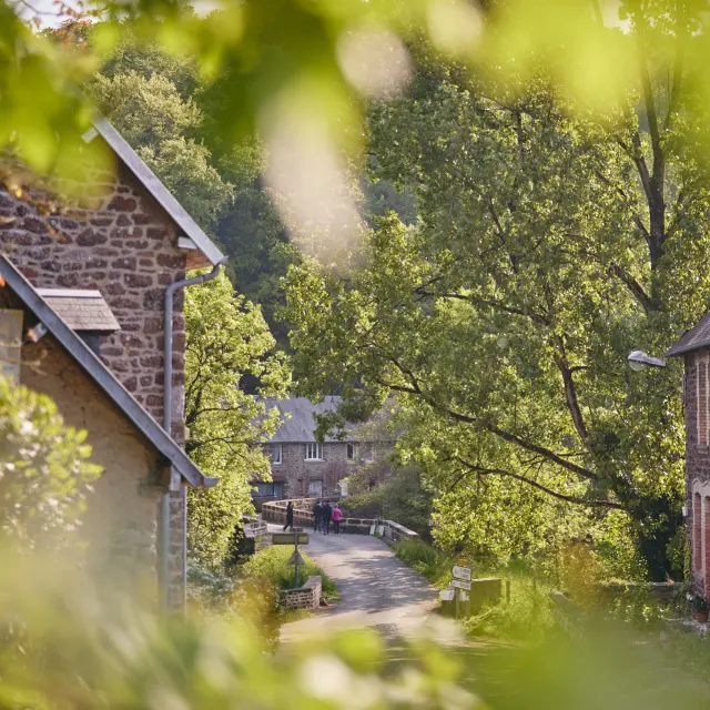 Rue du bourg de La Baleine