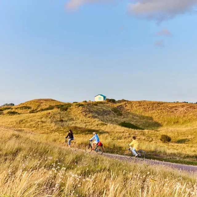 Drei Personen, die auf einem Feldweg Fahrrad fahren