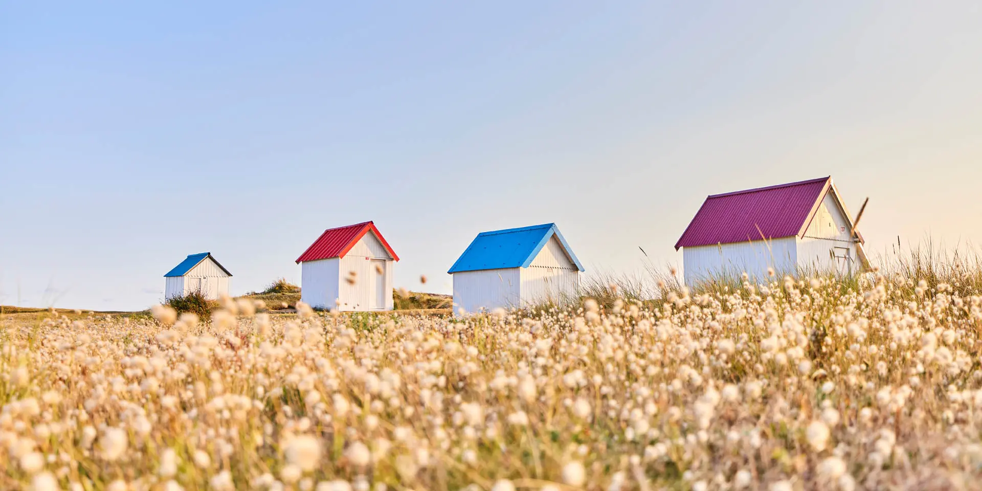 Cabines de Gouville sur Mer et chatons dans les dunes