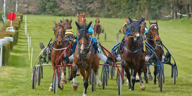 Courses Hippiques