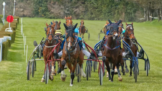 Courses Hippiques