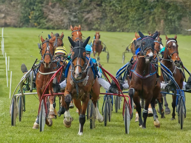 Courses Hippiques