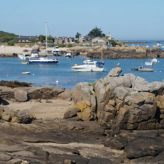 Bateaux ancrés dans un port de pêche avec des rochers en premier plan à Chausey