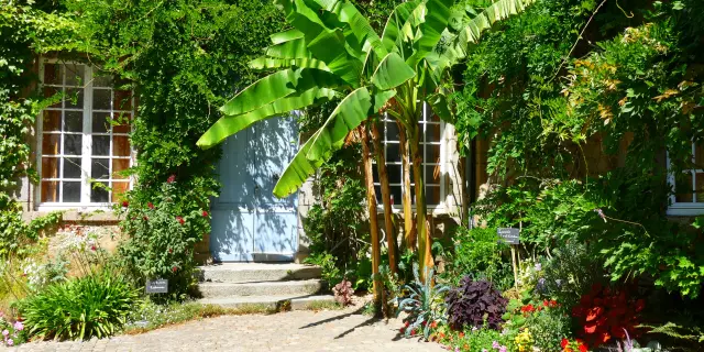 Une porte bleue entourée de verdure et de fleurs au Jardin des plantes de Coutances