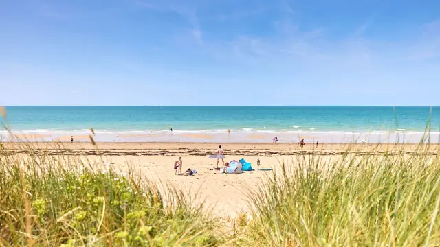 People enjoying a sunny day on a sandy beach