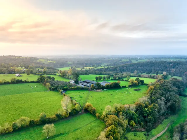 Luftaufnahme einer ländlichen Landschaft mit grünen Feldern und Bäumen