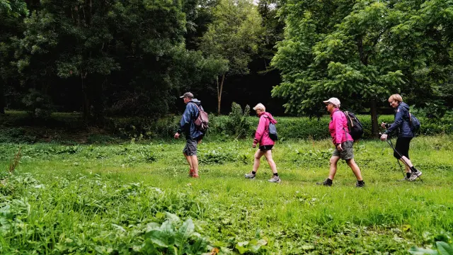 Quatre jeunes joueurs de football courant sur un terrain en herbe avec des arbres en arrière-plan