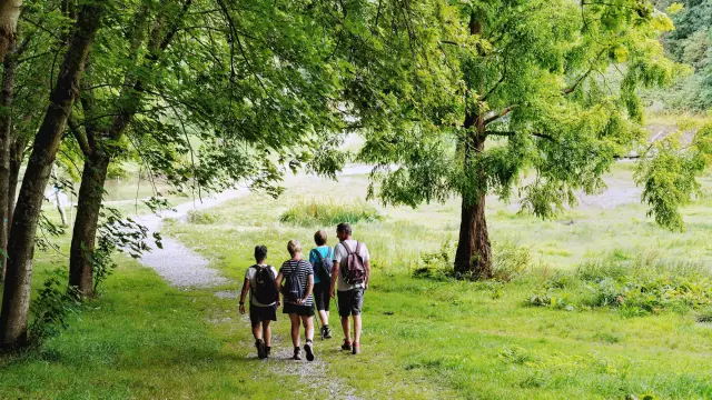 Quatre personnes marchant sur un sentier de randonnée