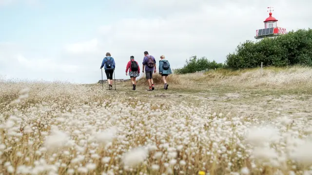 Quatre personnes marchant vers un petit phare rouge et blanc dans un champ d'herbes hautes