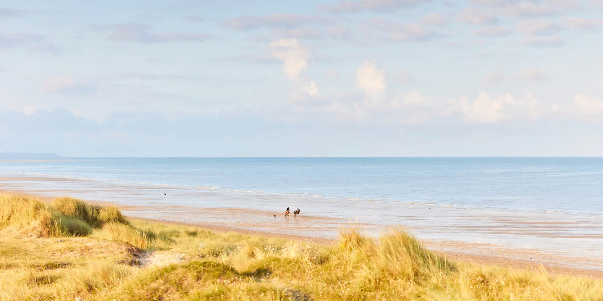 Two people and a dog walking on a deserted beach