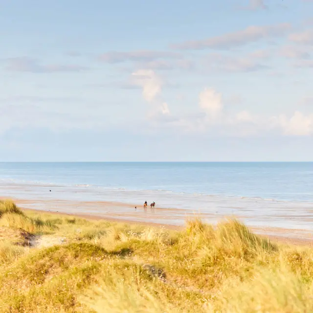 Sandy beach with grassy dunes, distant walkers, and calm sea under a cloudy sky