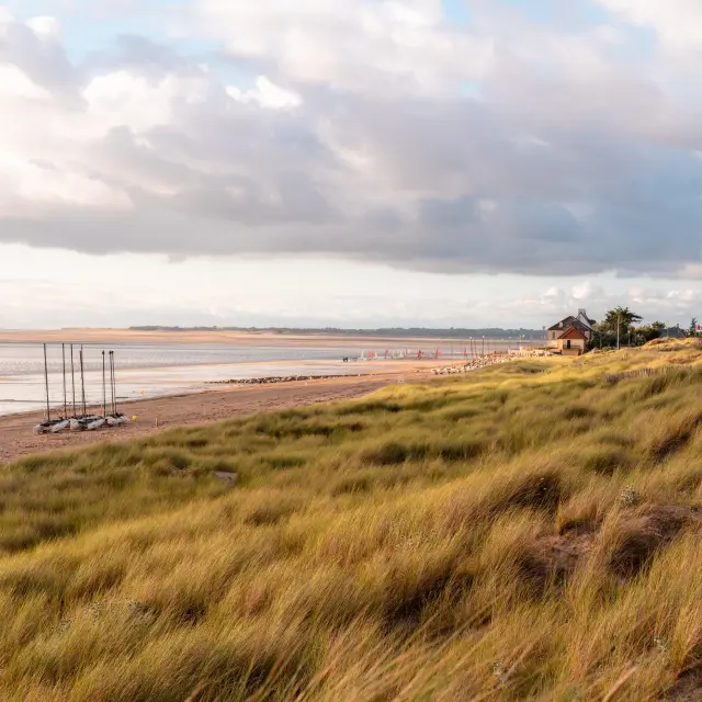Deserted beach with tall grasses and a cloudy sky