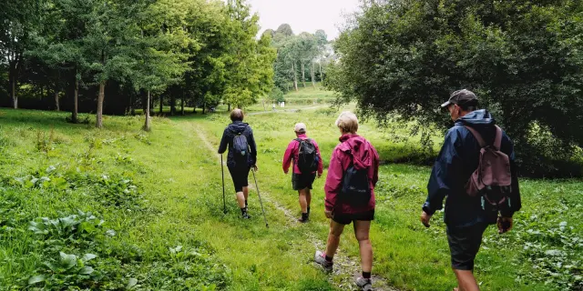 Quatre personnes randonnant sur un sentier de randonnée en forêt