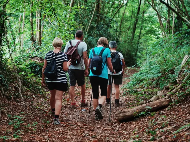 Quatre personnes marchant sur un sentier de randonnée en forêt à Coutances mer et bocage