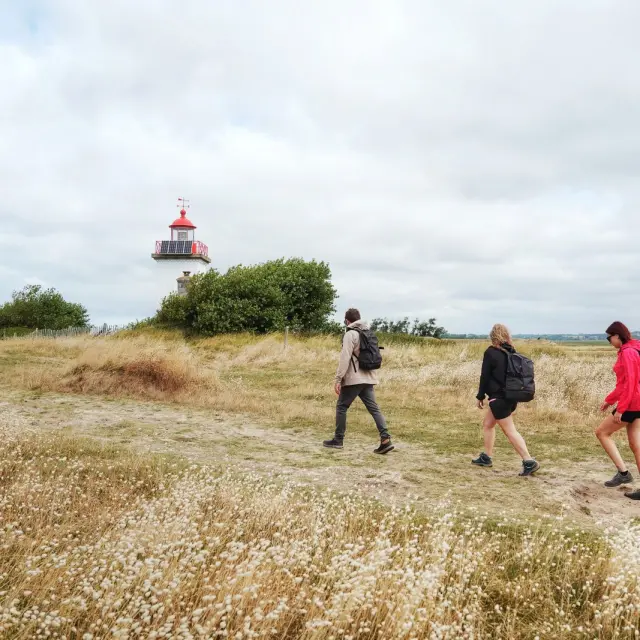 Three people walking towards a lighthouse in a grassy field
