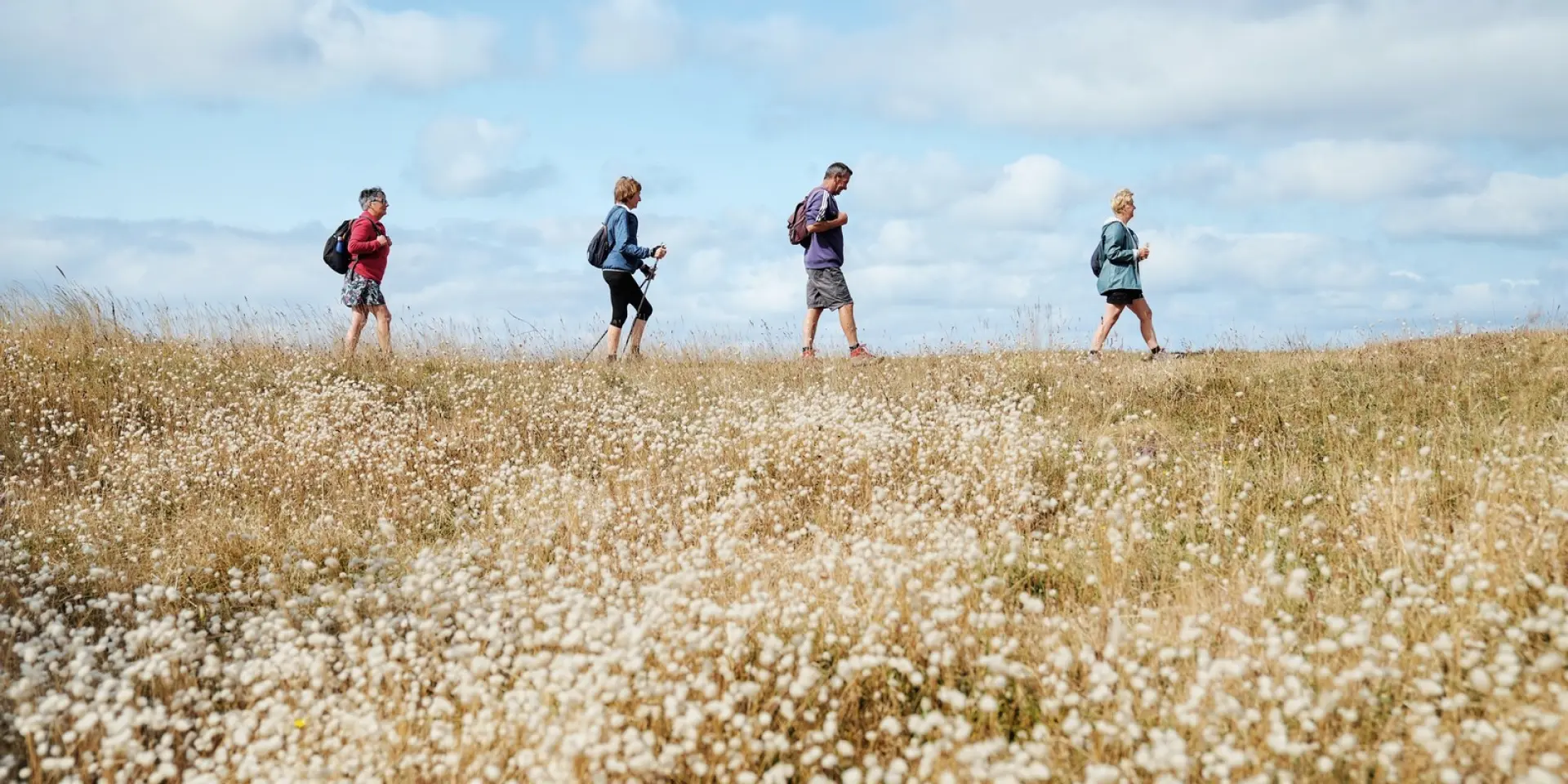 Vier Personen gehen durch ein Feld mit Wildblumen