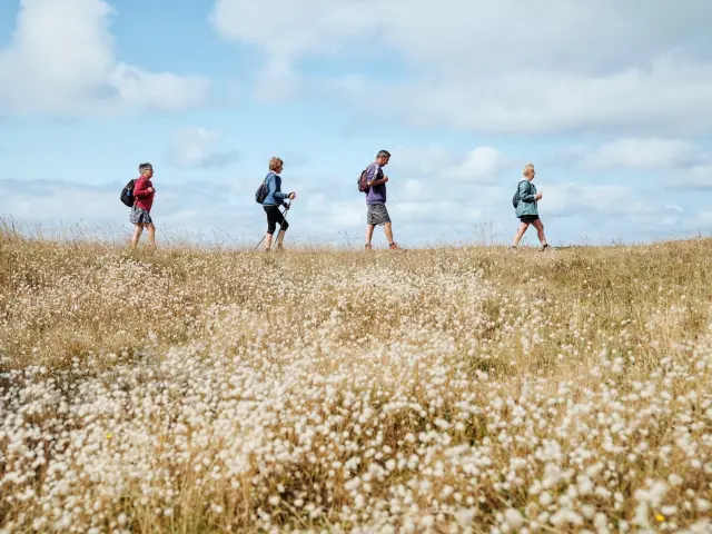 Quatre personnes marchant dans un sentier de bord de mer