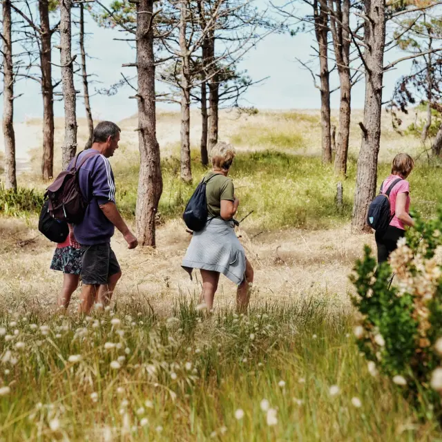 Three children and an adult interacting with a horse in a grassy field surrounded by trees